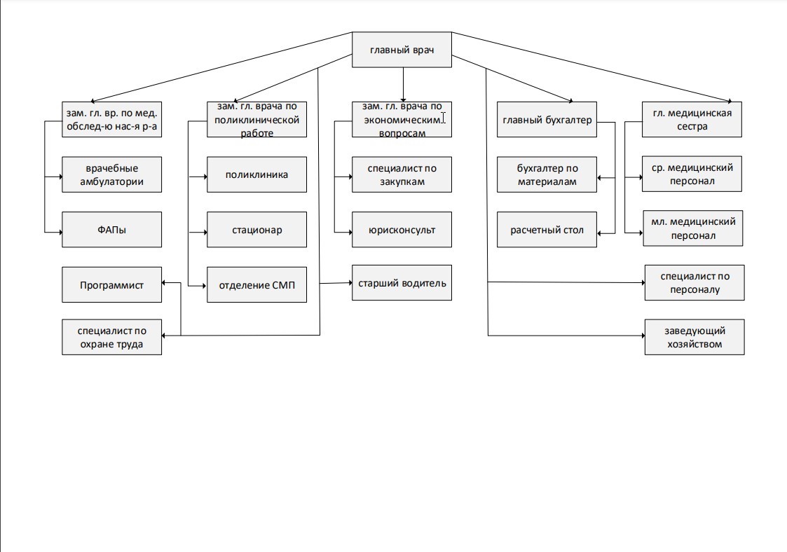 Организационная структура ЛПУ